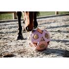 Slowfeeder ballon de jeu Relax Horse Kentucky Rose clair