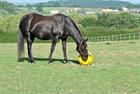 Slowfeeder Hay Play Bleu