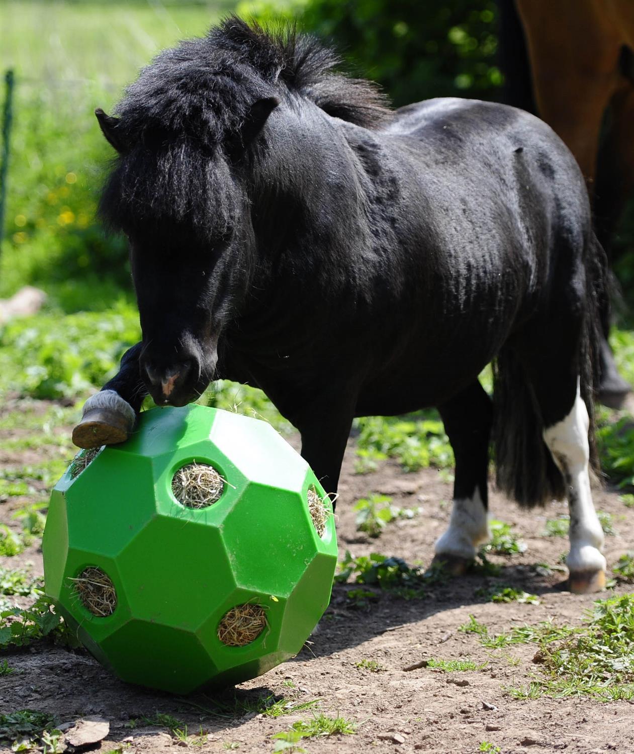 Excellent Hay Slowfeeder Fun and Flex - Boule de foin en forme de