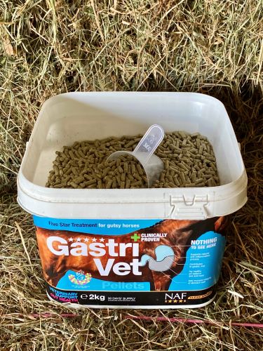 Granulés GastriVet de NAF