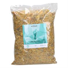 Souci (Calendula) Epplejeck Autre