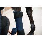 Sous-bandes magnétiques Recuptex Kentucky Noir