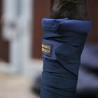 Sous-bandes Stal Kentucky Bleu foncé