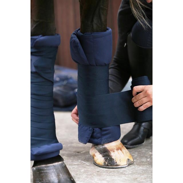 Sous-bandes Stal Kentucky Bleu foncé