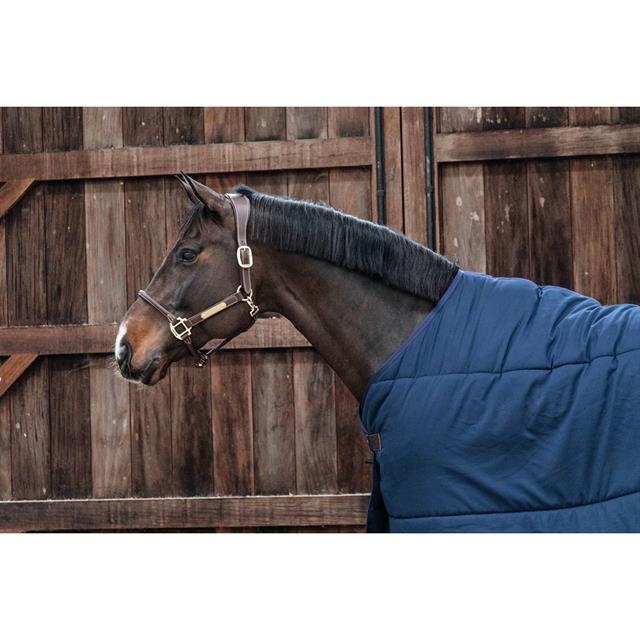 Sous-couverture Classic 100 g Kentucky Bleu foncé