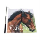 Stick d'entraînement avec drapeau extensible F.R.A. 