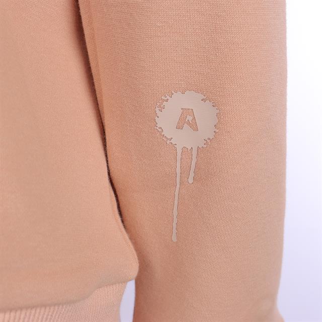 Sweat à capuche AR24201 Active Rider Marron clair
