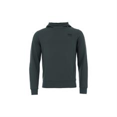 Sweat à capuche Ehan Hommes Cavallo Vert