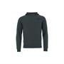 Sweat à capuche Ehan Hommes Cavallo Vert