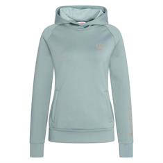 Sweat à capuche IRHSporty Sparks Imperial Riding Vert foncé