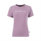 T-shirt Cotton Cavallo  Rose