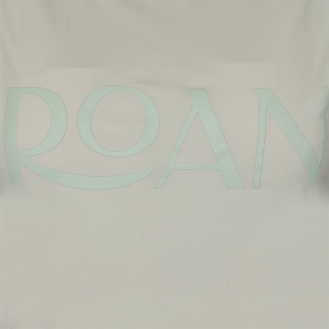 T-shirt Cycle Four ROAN Vert clair