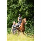 T-shirt d'entraînement Denici Cavalli Shadow Manches courtes Harry's Horse Marron-gris