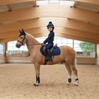 T-shirt technique Young Rider Enfants LeMieux Bleu foncé