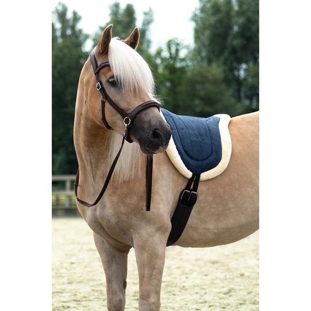 Tapis de monte à cru FHRaven Free Horse Bleu foncé