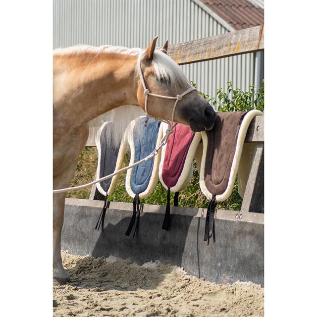 Tapis de monte à cru FHRaven Free Horse Bleu foncé