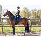 Tapis de selle Anatomic Tech Anky MID BLUE