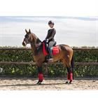 Tapis de selle Anatomic Tech Anky Rouge
