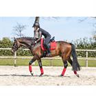 Tapis de selle Anatomic Tech Anky Rouge