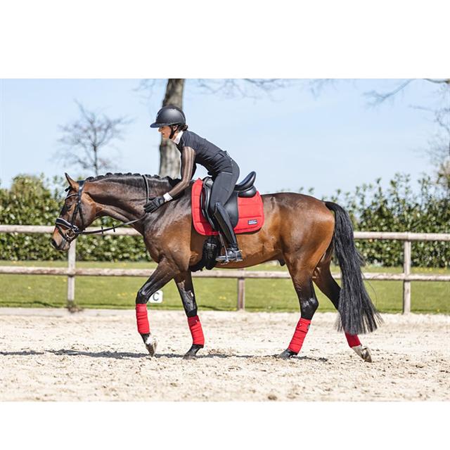 Tapis de selle Anatomic Tech Anky Rouge