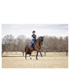 Tapis de selle ANKY 3C Dressage Bleu foncé