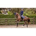 Tapis de selle anti-dérapant Soft Shell Dressage LeMieux Bleu foncé