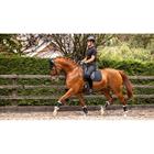 Tapis de selle anti-dérapant Soft Shell Dressage LeMieux Noir
