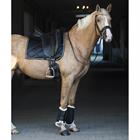 Tapis de selle Bayesa HORSEGEAR Noir