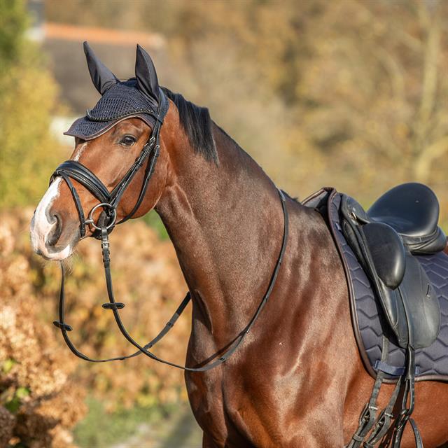 Tapis de selle Dressage HGWareham HORSEGEAR Bleu foncé
