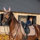 Tapis de selle Dressage HGWareham HORSEGEAR Marron moyen