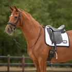 Tapis de selle Dressage Nummer QHP Blanc-noir