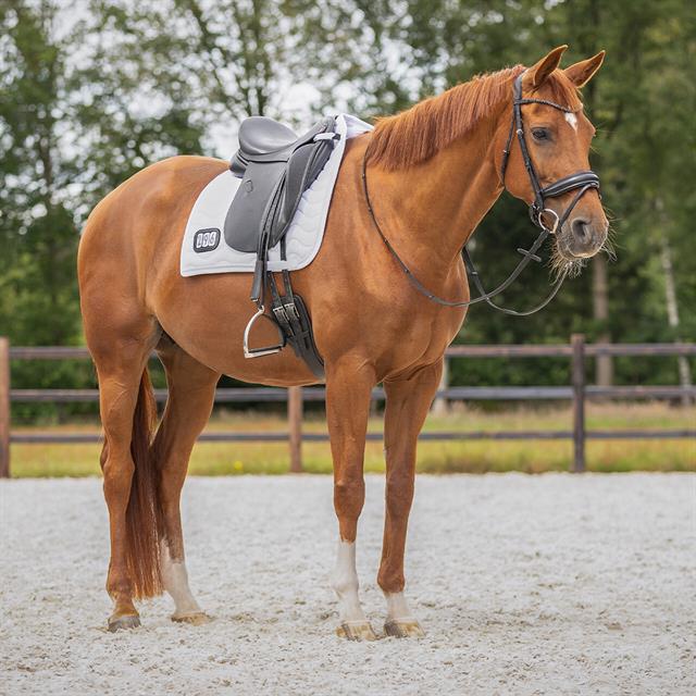 Tapis de selle Dressage Nummer QHP Blanc