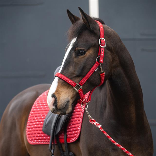 Tapis de selle EJValentine Dressage Epplejeck Rouge