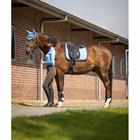 Tapis de selle Event BR Bleu clair-marron foncé