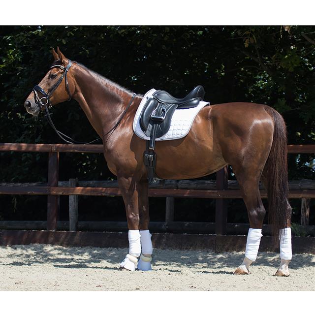 Tapis de selle Florence QHP Blanc