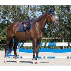 Tapis de selle Florence QHP Bleu foncé