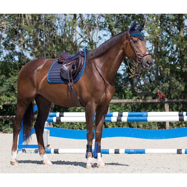 Tapis de selle Florence QHP Bleu foncé