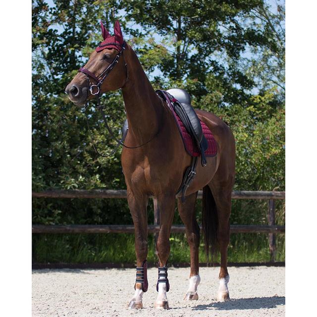 Tapis de selle Florence QHP Rouge foncé