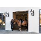 Tapis de selle Glossy Bit Dressage Eskadron Platinum Marron clair