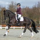 Tapis de selle HGKemble Dressage HORSEGEAR Blanc-rouge
