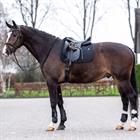 Tapis de selle HVPEssential Dressage HV Polo Noir