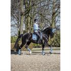 Tapis de selle Loire Classic Satin Ds LeMieux Bleu clair