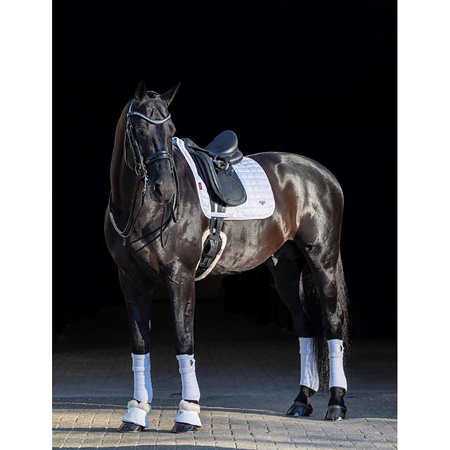Tapis de selle Loire Dressage Square LeMieux Blanc