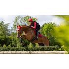 Tapis de selle Loire Square Close Contact LeMieux Rouge
