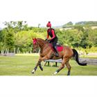 Tapis de selle Loire Square Close Contact LeMieux Rouge