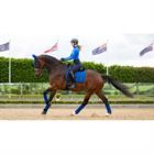Tapis de selle Loire Square Dressage LeMieux Bleu