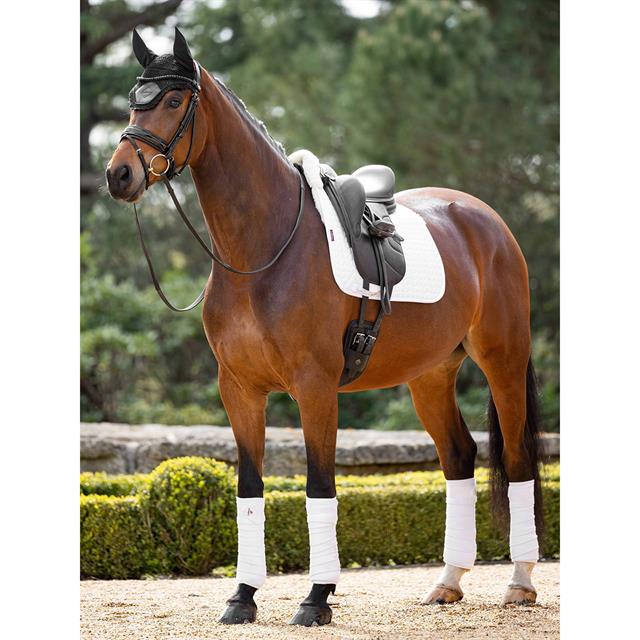 Tapis de selle Merino+ Half Lined Dressage LeMieux Blanc-beige