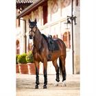 Tapis de selle Merino+ Half Lined Suede Dressage LeMieux Noir
