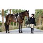 Tapis de selle Merino+ Hunter LeMieux Blanc