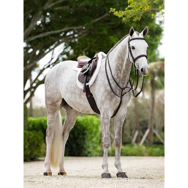 Tapis de selle Merino+ Hunter LeMieux Blanc